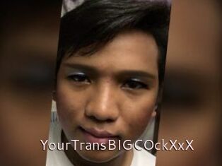 YourTransBIGCOckXxX