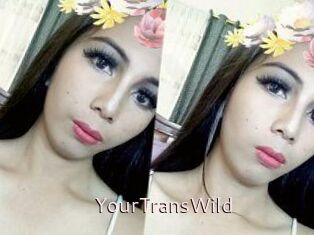 YourTransWild