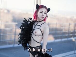 Yukiamecat