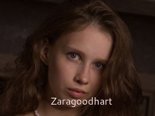 Zaragoodhart